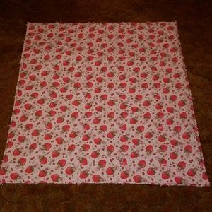 Strawberry Short Cake Baby Blanket